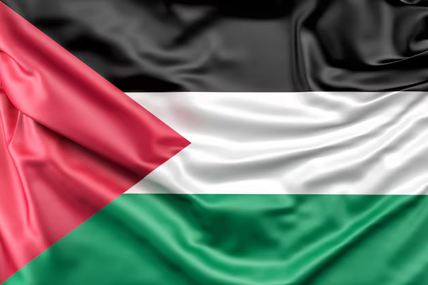 The History and Symbolism of the Palestine Flag